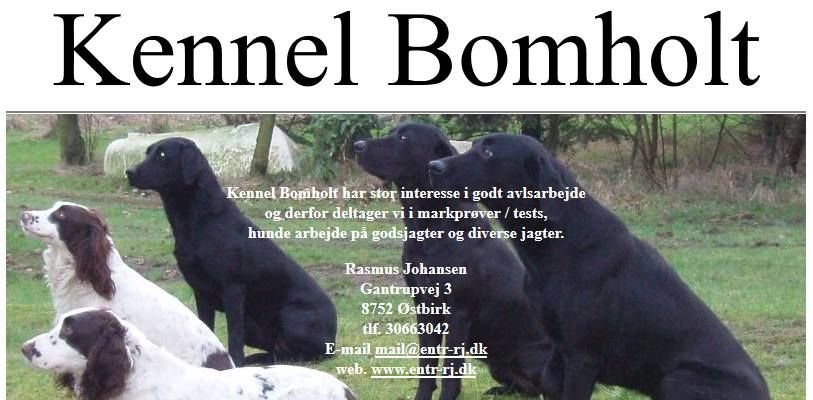 Kennel.jpg
