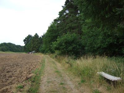 2009_07050082.JPG