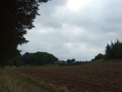 2009_07050083.JPG
