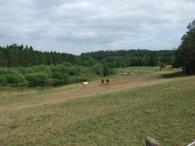 2009_07050107.JPG
