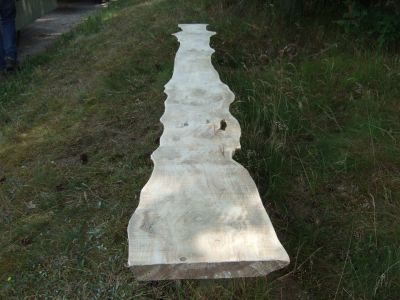 2009_07050108.JPG
