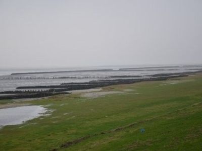 DSC_1074.JPG