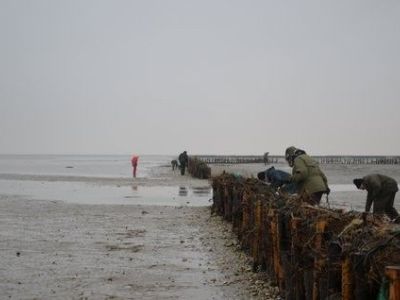 DSC_1076.JPG