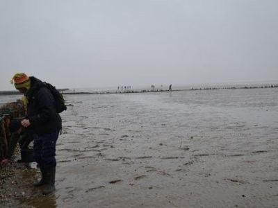 DSC_1079.JPG