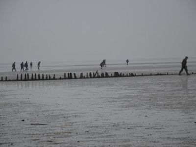 DSC_1080.JPG