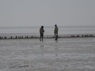 DSC_1081.JPG