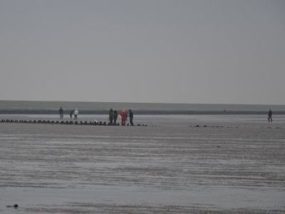 DSC_1085.JPG