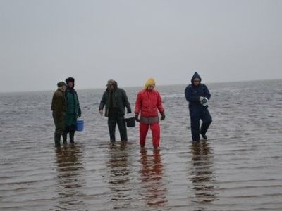DSC_1087.JPG