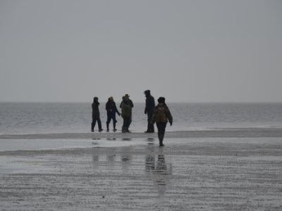 DSC_1088.JPG