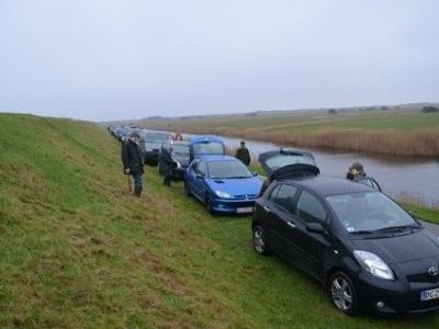 DSC_1093.JPG