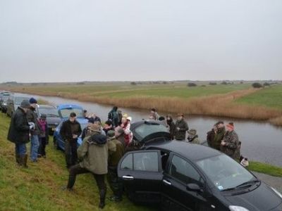 DSC_1099.JPG