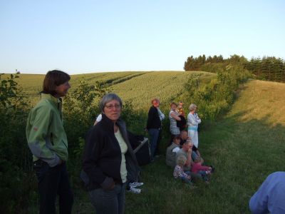 Foran kornmarken.jpg