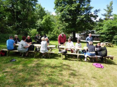 Frokost i de gronne