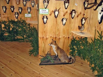 IMG_1885.jpg