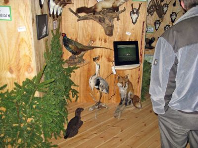 IMG_1886.jpg