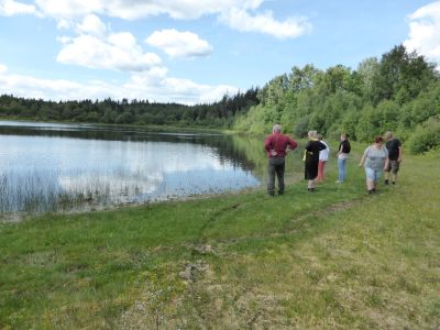 Søen med liljen
