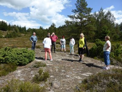 Tingstedet